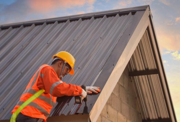 Roofer laying down a metal roof